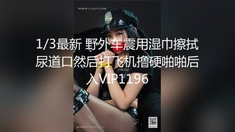 1/3最新 野外车震用湿巾擦拭尿道口然后打飞机撸硬啪啪后入VIP1196