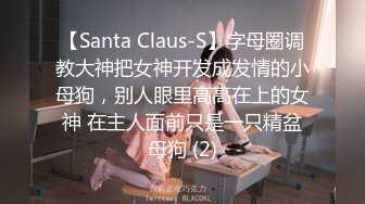 【Santa Claus-S】字母圈调教大神把女神开发成发情的小母狗，别人眼里高高在上的女神 在主人面前只是一只精盆母狗 (2)