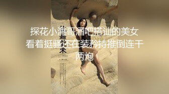 探花郎李寻欢约啪风骚御姐 极品黑丝 肤白貌美被草的胡言乱语