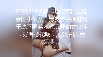 糖心Vlog 美杜莎 巨乳模特与摄影师的情色缠绵悱恻