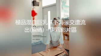 極品混血巨乳妹下海援交遭流出(無碼) - 伊莉影片區