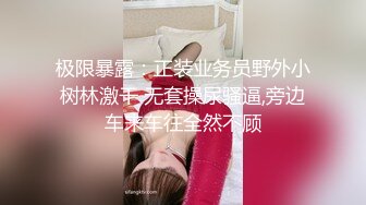 PANSI模特思瑞黑丝车震高清自拍