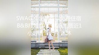 国产麻豆AV MD MD0054 保安强奸女业主 夏滢