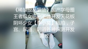 星空無限傳媒 XKG211 偷車小賊 爆操性感賣身女 可可