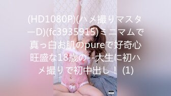 GDCM-035.莉娜.伪装者代号91.上集.果冻传媒