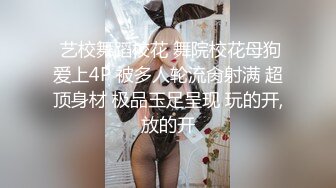 精选探花系列-双飞高颜值长腿腰细小姐姐