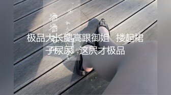 极品大长腿高跟御姐⭐搂起裙子尿尿⭐这屄才极品