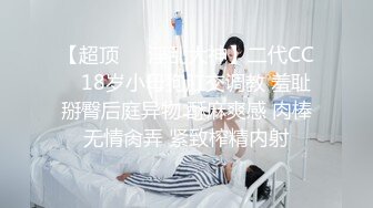 国产麻豆AV MD MD0234 骚妻的周年礼物 米亚 张芸熙