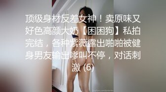 丹麦小可爱