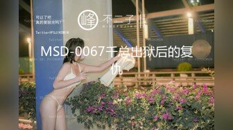 MSD-0067千总出狱后的复仇