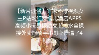 我和欲求不满刺青泳装大姊认识后被持续侵犯的暑假