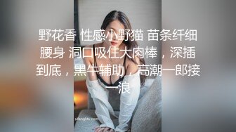 财阀专属极品玩物韩模Sonson () 大尺度奴性文化调教套图