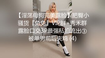 亚洲欧美va动漫一区二区