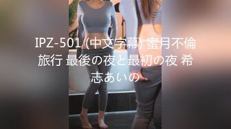 IPZ-501 (中文字幕) 蜜月不倫旅行 最後の夜と最初の夜 希志あいの