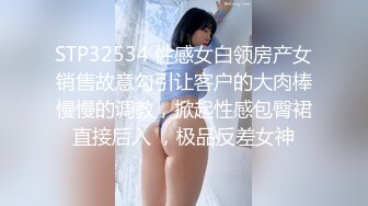 STP32534 性感女白领房产女销售故意勾引让客户的大肉棒慢慢的调教，掀起性感包臀裙直接后入 ，极品反差女神