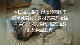 厕拍大神潜入某KTV女厕❤️洗手盆下偷装设备正面偷拍几个颜值不错的美女尿尿