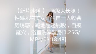 素人嘉琪 百分百胜率离婚律师的秘密