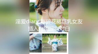 淫爱diary 与碎花裙巨乳女友插入自摸淫叫对白