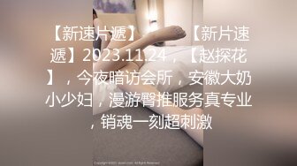 2023年11月新作合集，专业摄影师【JAYS】艺术情色完美融合，美景配佳人相得益彰，色调角度每张都是艺术品