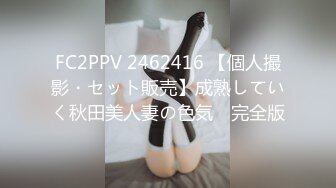 FC2PPV 2462416 【個人撮影・セット販売】成熟していく秋田美人妻の色気　完全版