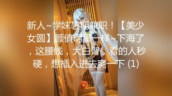 精品人妻系列无码人妻免费视频一