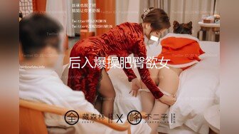 【AI换脸视频】成果 美女搜查官假装卖保险上门送穴[下]